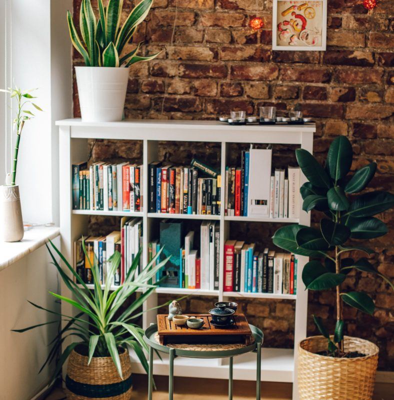 white book shelf in front of brick wall surrounded by plants