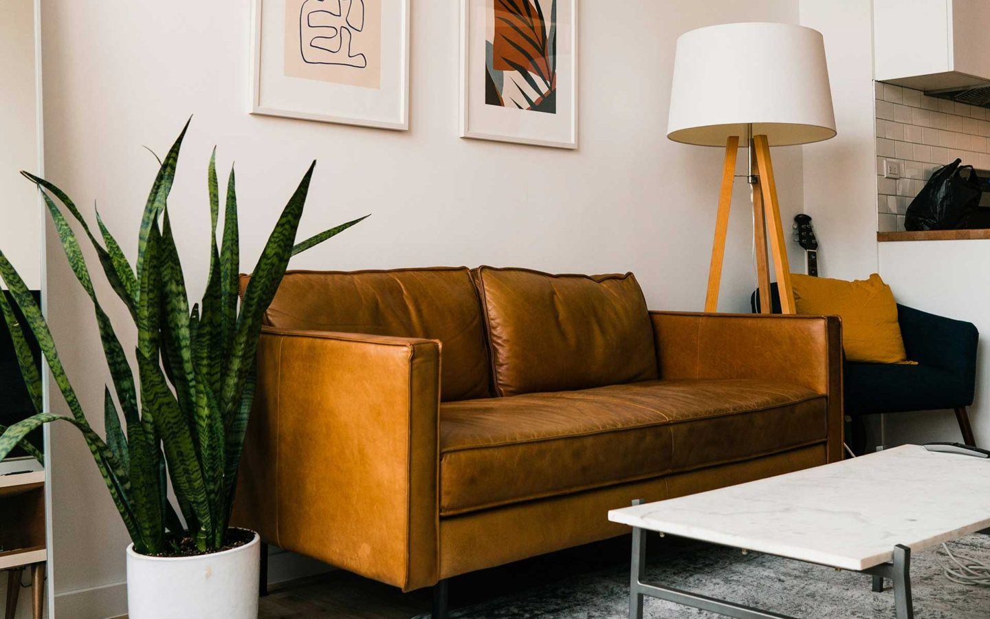 brown leather couch with plant and lamp beside it